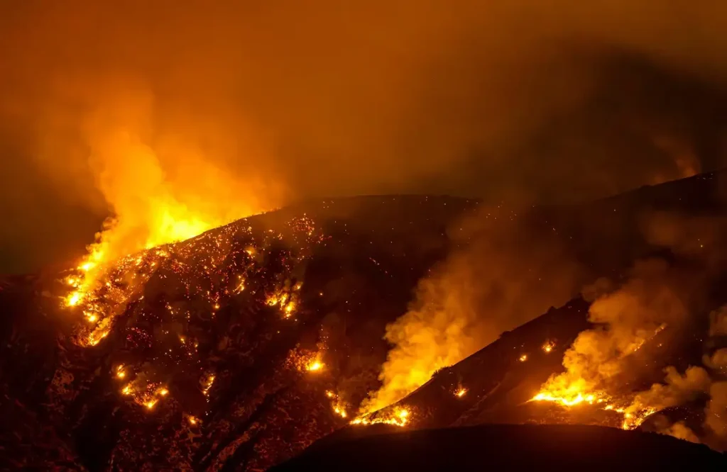 Los Angeles Wildfires